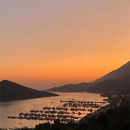 홈스테이 Nirvana 카스